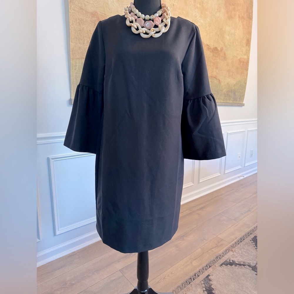 Elegant Black Dress with Flared Sleeves
